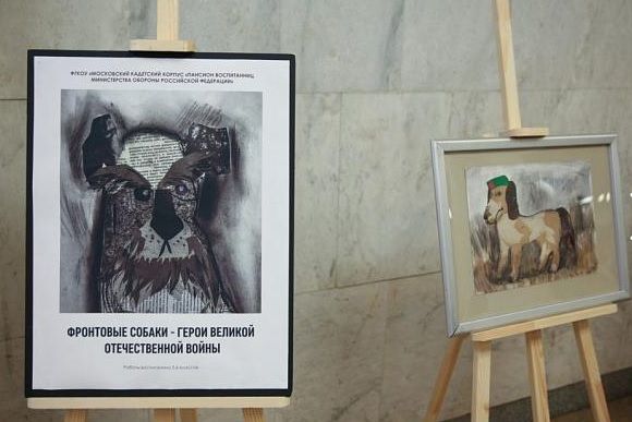 Muzej Pobedy Provodit Vserossijskij Konkurs Detskih Risunkov Portret Frontovoj Sobaki