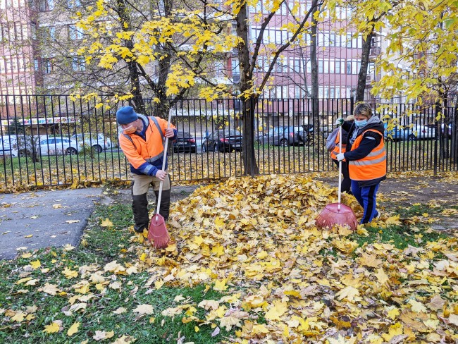 Почему убирают листья осенью. Москва убирают листву. почему убирают листву осенью в парках. уберите опавшую листву геншин. почему в скверах убирают опавшие листья.